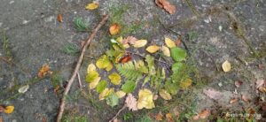 waldtag-waldschule-2022-02