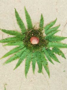 waldtag-waldschule-2022-03