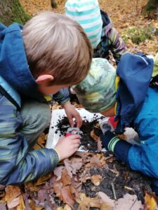 waldtag-waldschule-2022-16