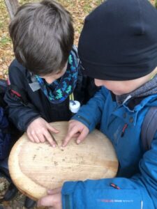 waldtag-waldschule-2022-18